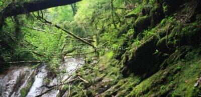 Экскурсии по 33 водопадам с застольем ЛИДЕР Сочи